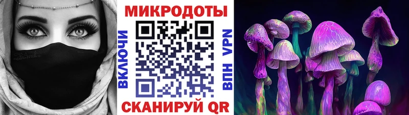 Псилоцибиновые грибы Psilocybine cubensis  Суворов 